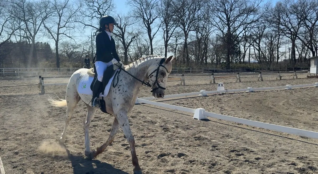 栃木県の国体馬場合宿に参加してきました!